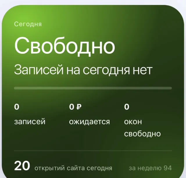 Экран панели: сводка дня и открытия сайта